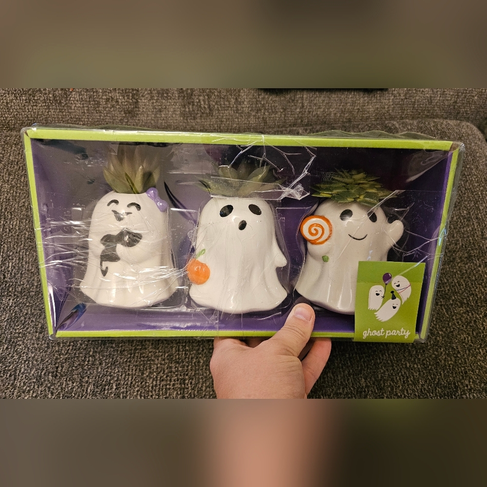 Ghost Succulents Decor